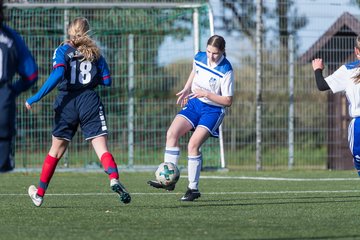 Bild 236 - B-Juniorinnen Ellerau - VfL Pinneberg 1C : Ergebnis: 4:3